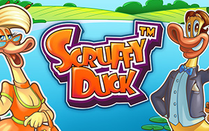 Scruffy Duck